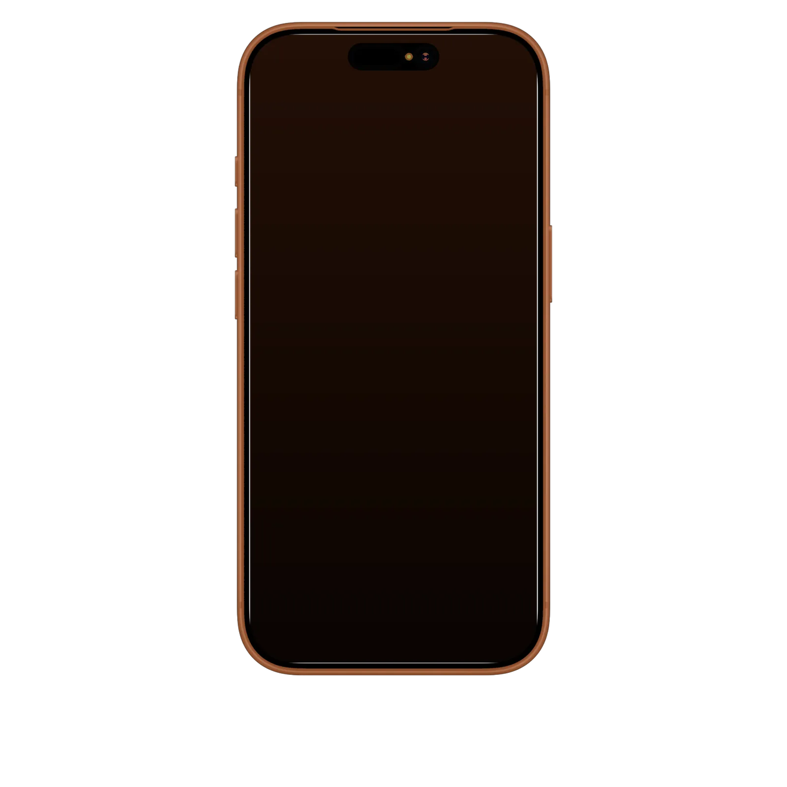Apple iPhone 17 Pro photo 3