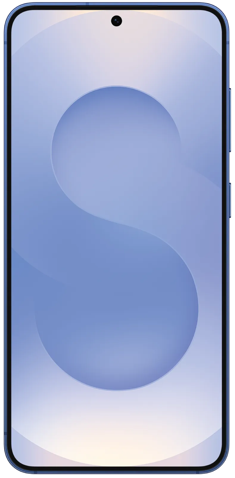 Samsung Galaxy S25 photo 6